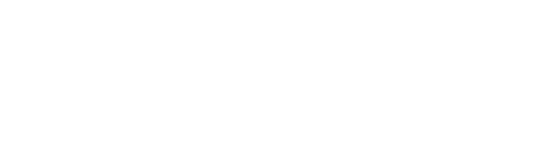 Advance Intelligence Group